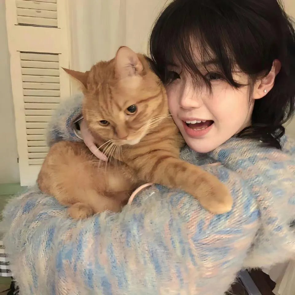 物产展之女：宫崎篇